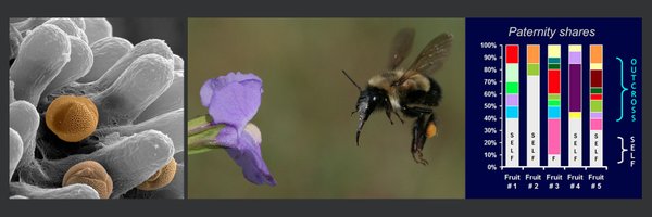 PollinatorCons Profile Banner
