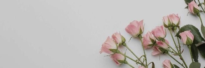 inkvyung's profile banner image