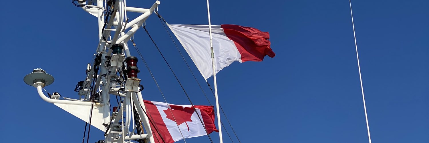 Dave Willows 🇨🇦 banner