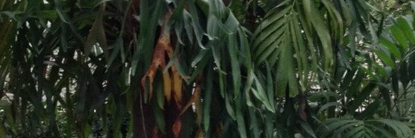 CameronBasden Profile Banner