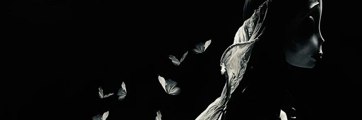 Schneex3's profile banner image