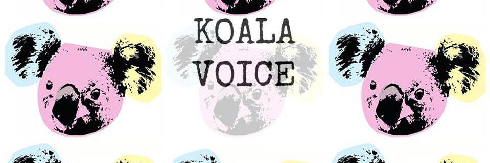 KoalaVoice's profile banner image