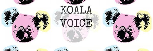 KoalaVoice Profile Banner