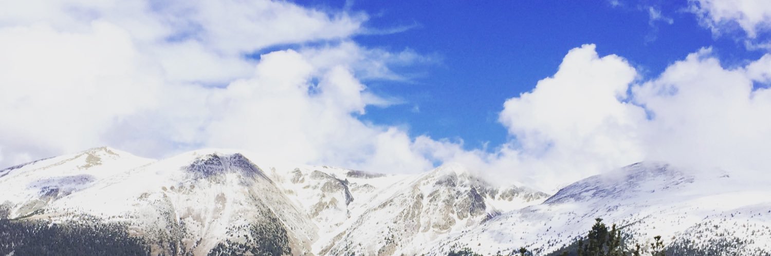 Felip Gallardo banner