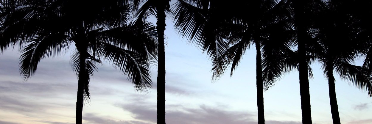 Suzanne_OC's profile banner image