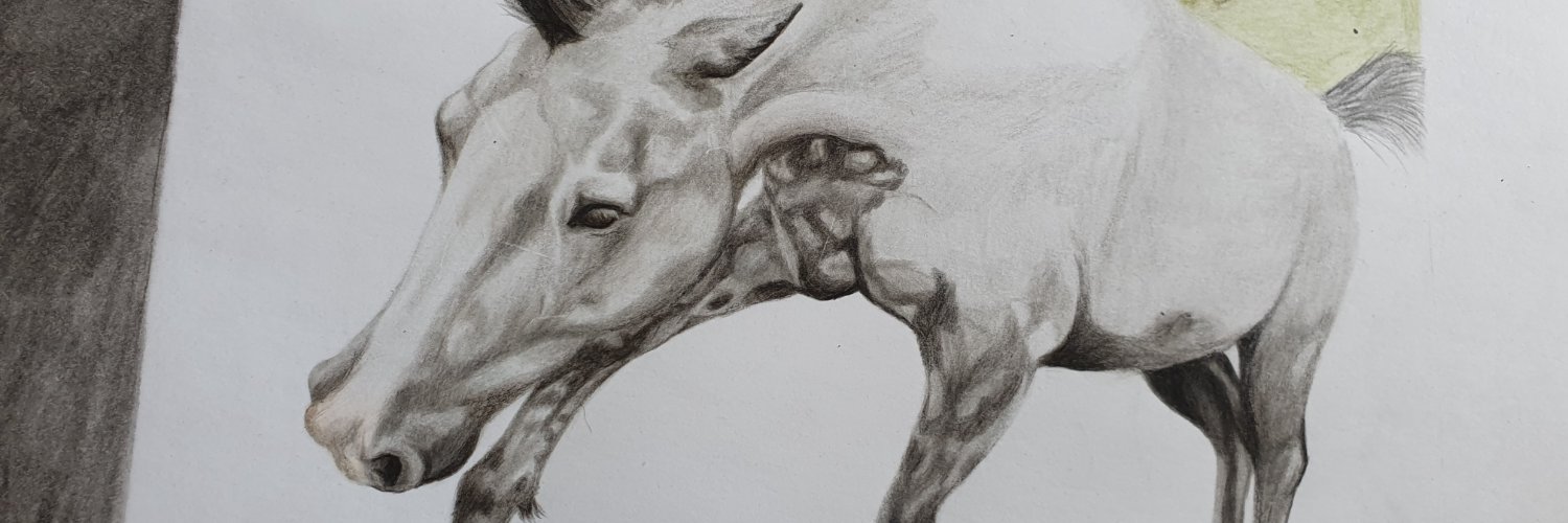 EquineSemaphore's profile banner image