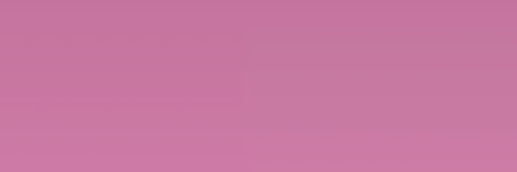 YASMIN banner