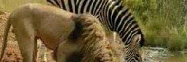 M1Andries's profile banner image