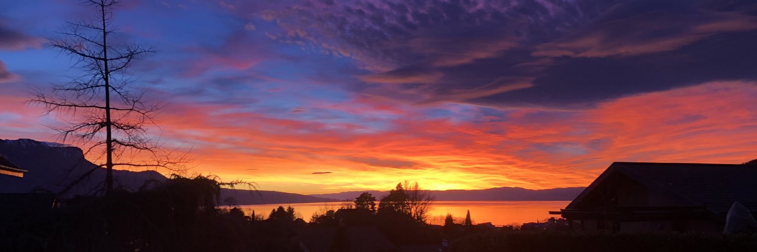 Matthew Hamill banner