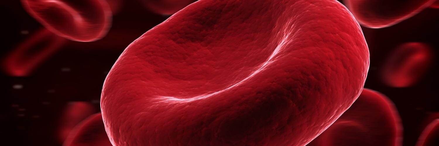 Gil Blander, PhD banner