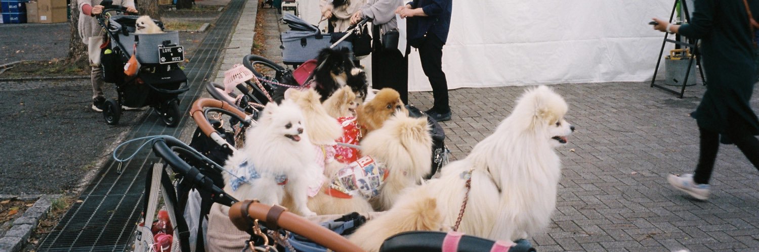 Emma Ockerman banner