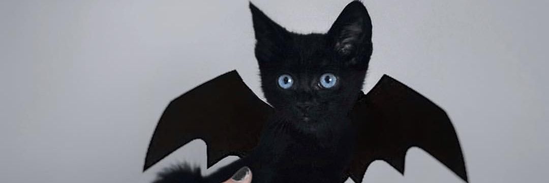 MissYsmay's profile banner image