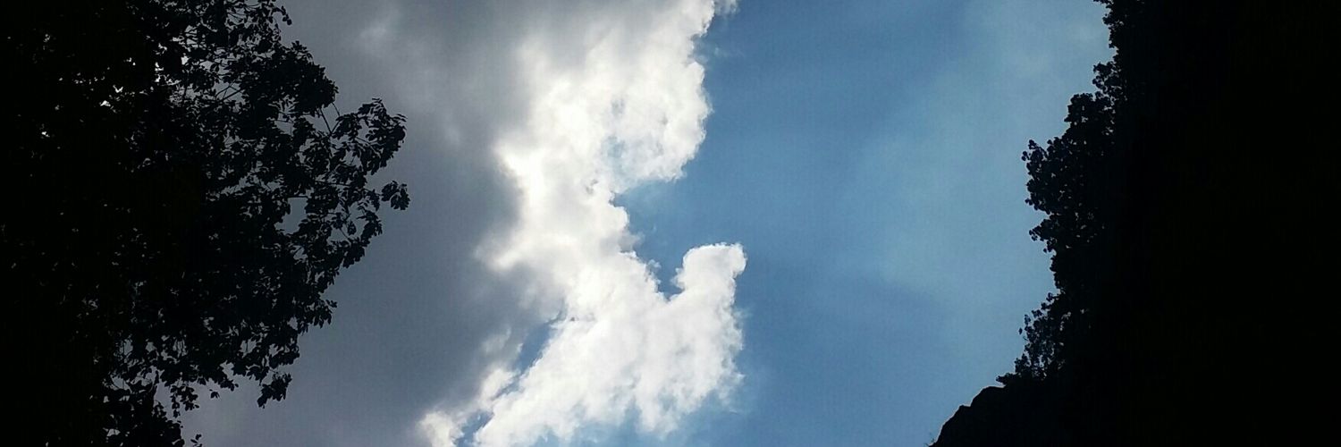 nogayca's profile banner image