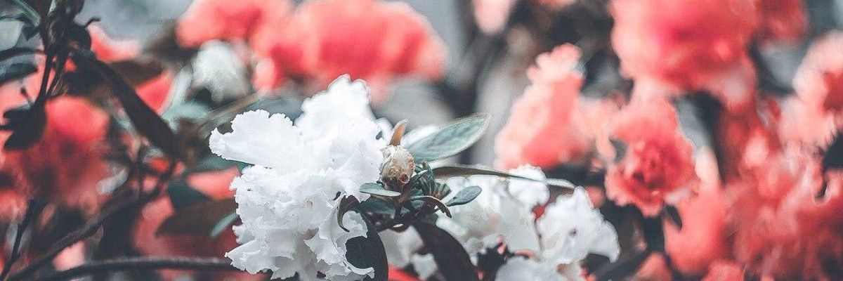 Jennii342's profile banner image