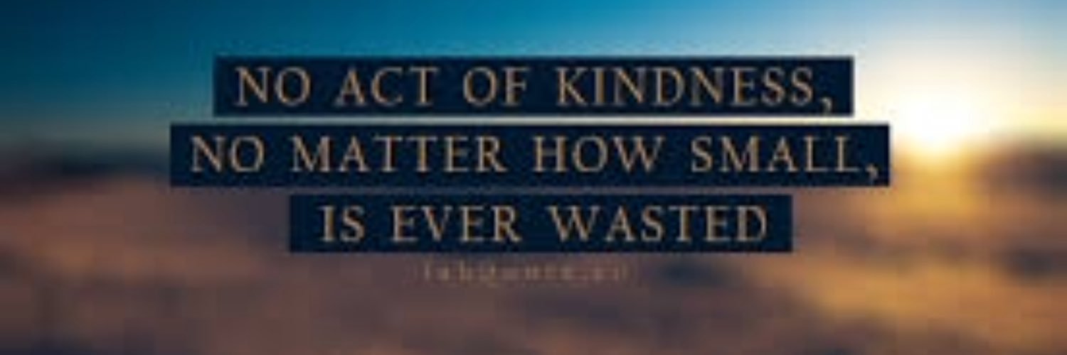 Sarah Abbott banner