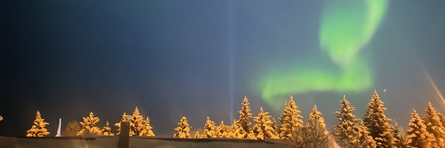Skuggaburdur's profile banner image