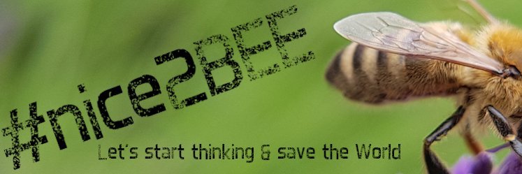 Thinnes Roy DL2ROY banner