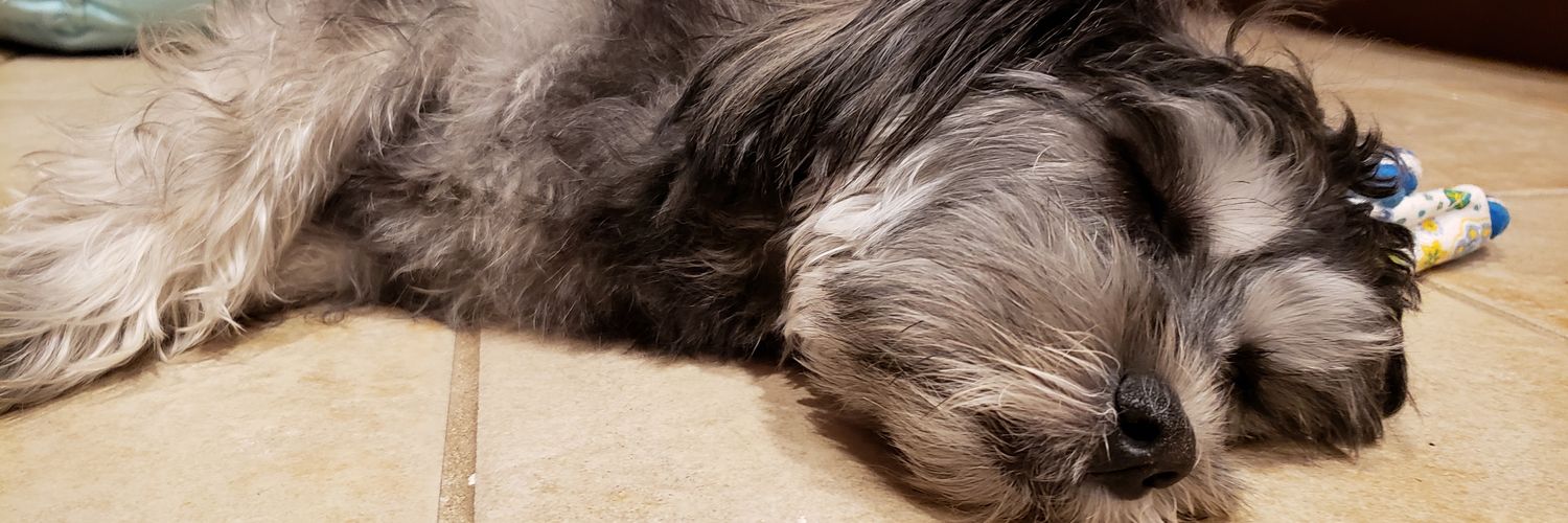 happykappy7's profile banner image