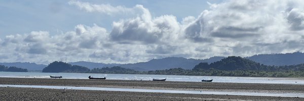 luiscrh Profile Banner