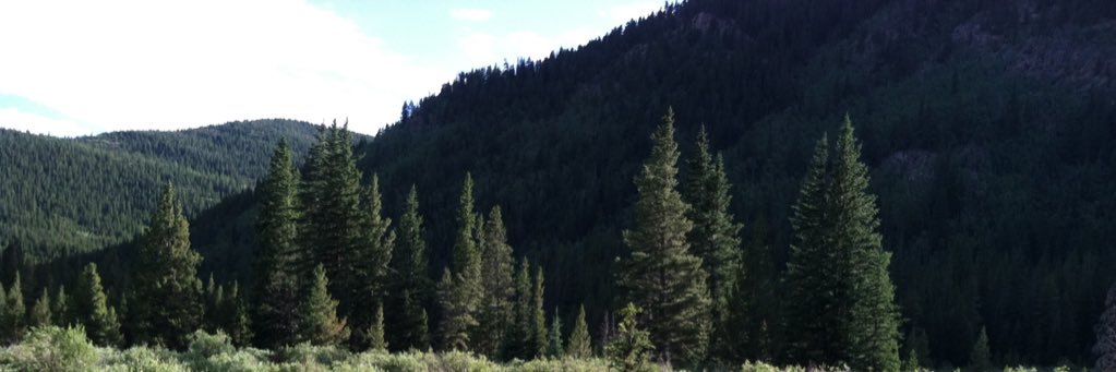 fairy_co's profile banner image