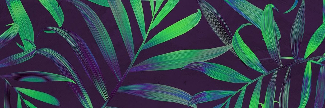 Cr3scnt's profile banner image