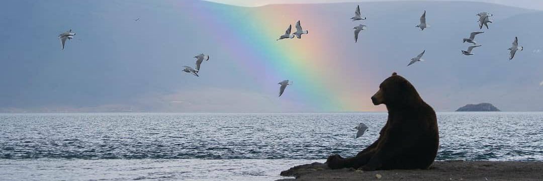 Pablo Andreu🦦 banner