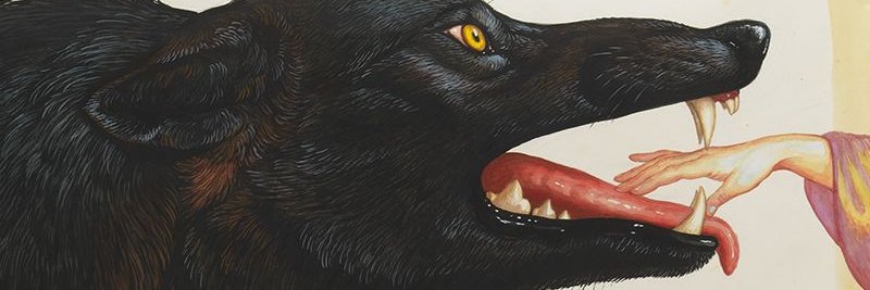 augustocarrera's profile banner image