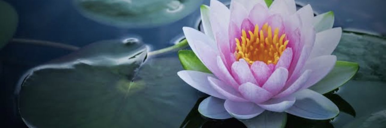 🌻🌻NİLÜFER🌻🌻 banner