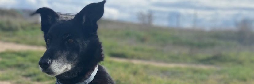 Juliotorres98's profile banner image