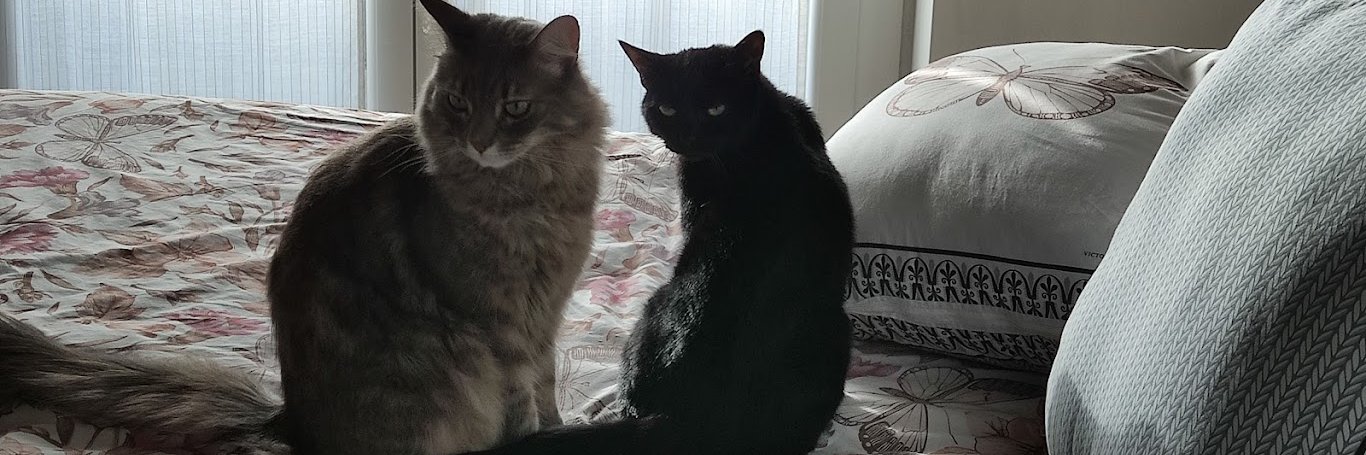 Andrea Gallazzi banner