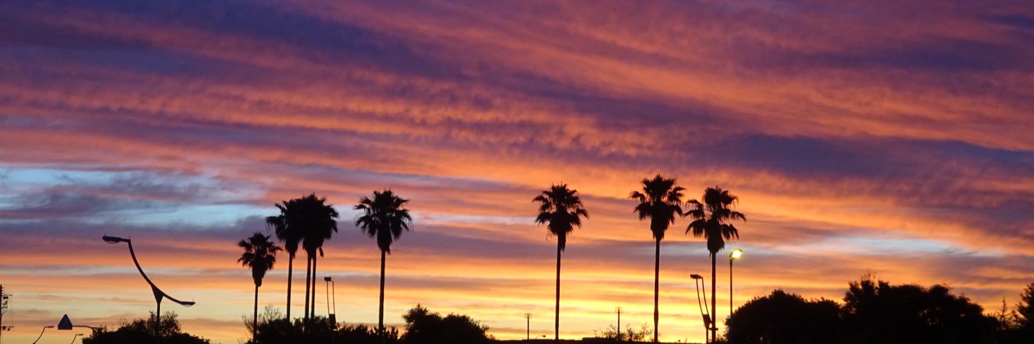 bume@どんどん丸くなるわ〜 banner