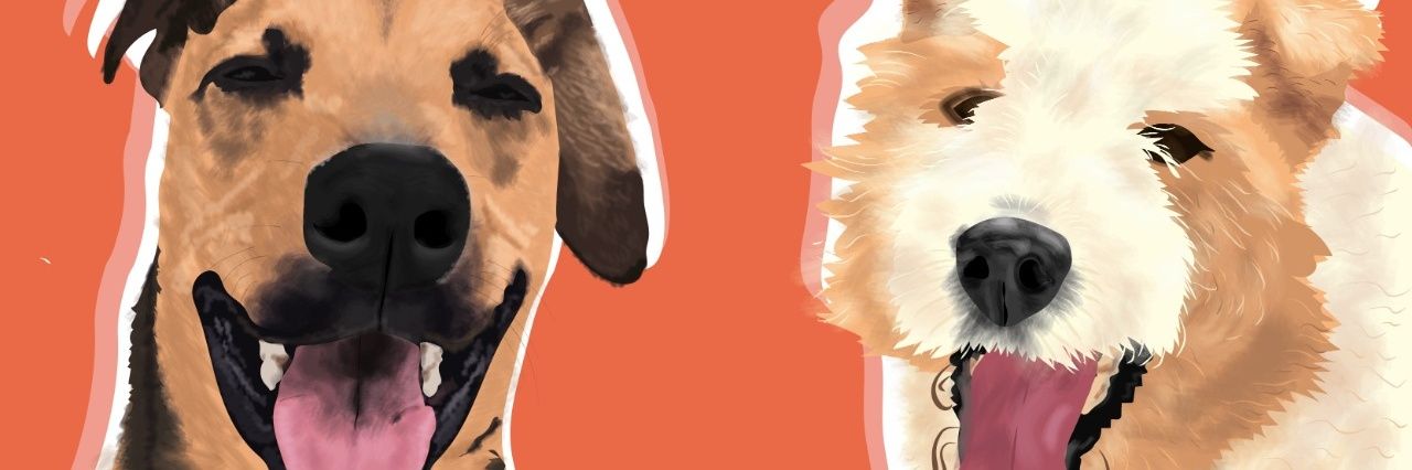 martidoo's profile banner image