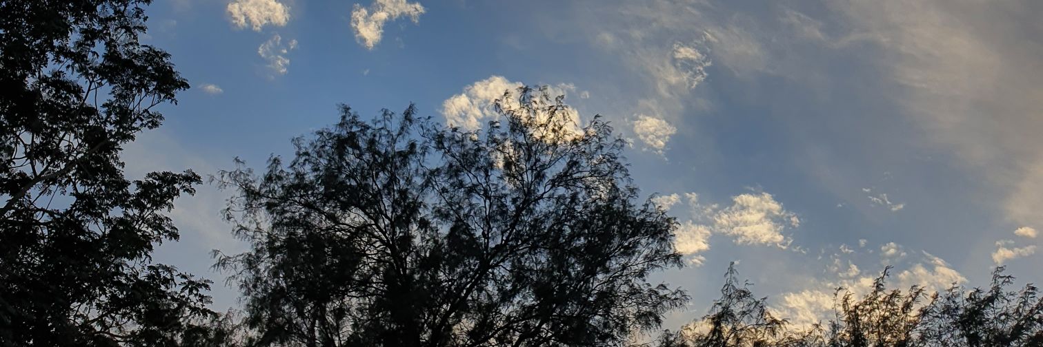 _Mohsina's profile banner image