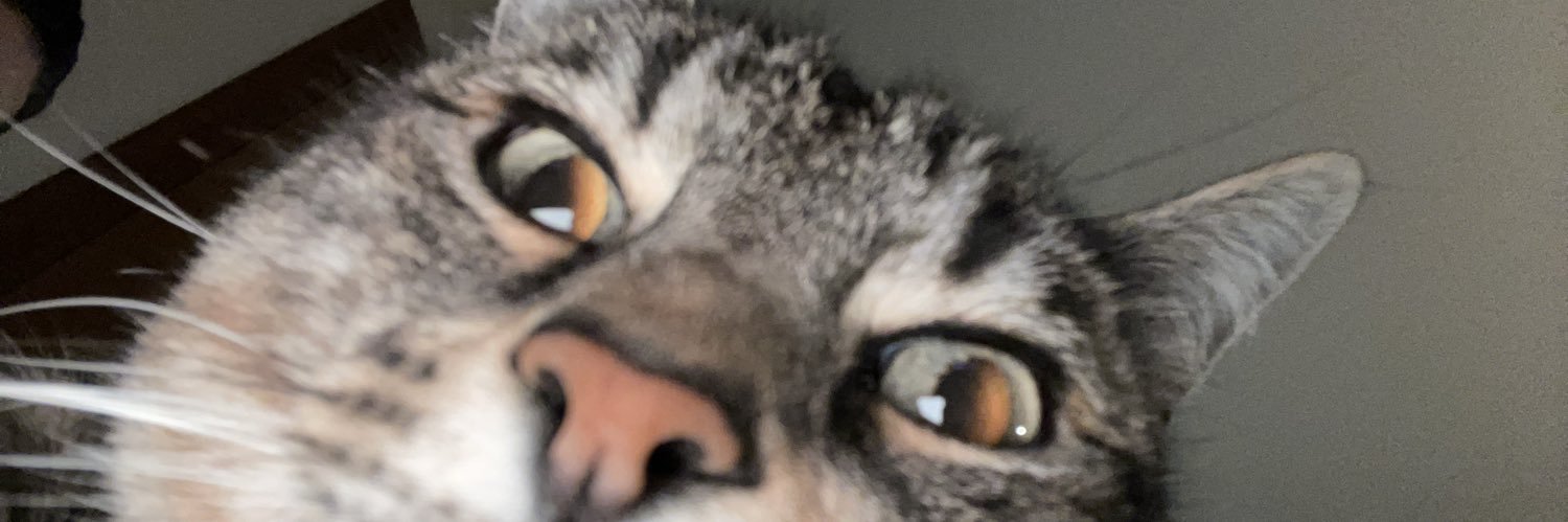 trusstnbitch's profile banner image