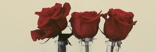 MollyRose13's profile banner image