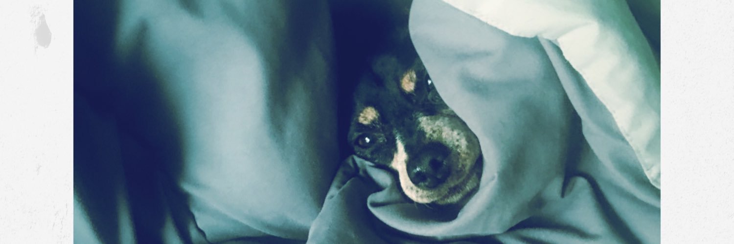 edchism19's profile banner image