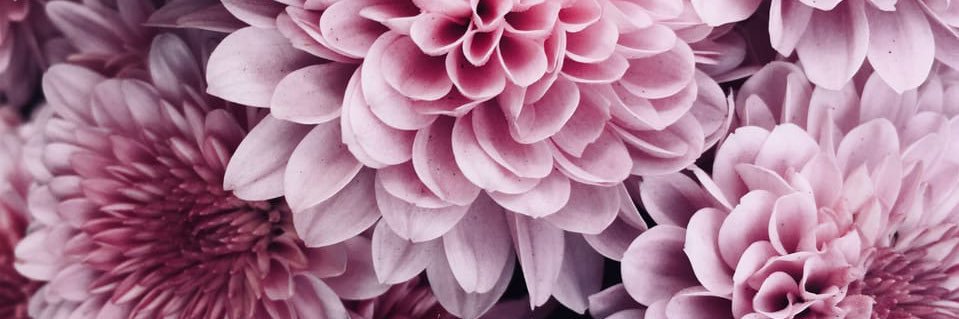 ConejoIsa's profile banner image