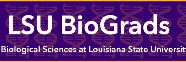 lsubiograds Profile Banner