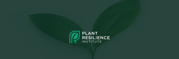 MSU_PRI Profile Banner