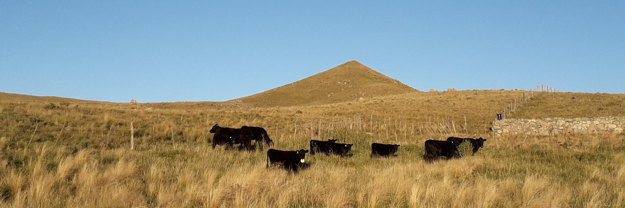 Arthur Pontes Prates banner