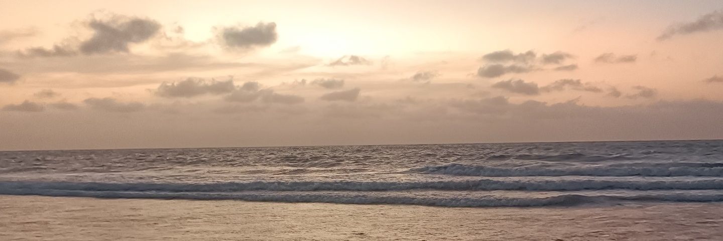 SalcedoJenifer's profile banner image
