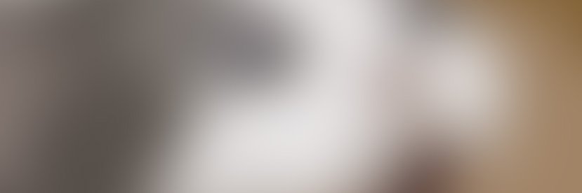 CATMEAT banner
