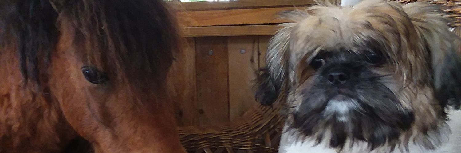 uncle nemo 🇺🇸 banner