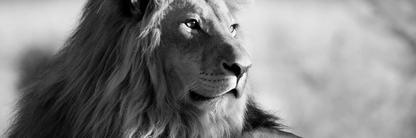 __vargass's profile banner image