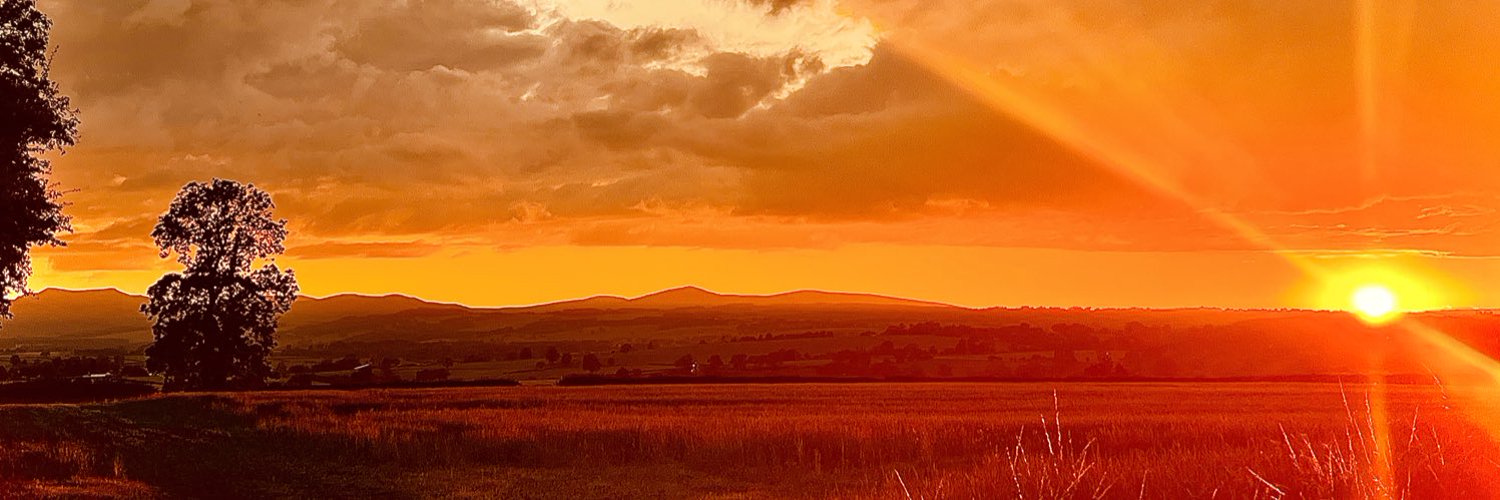 Susan Rhind Profile Banner