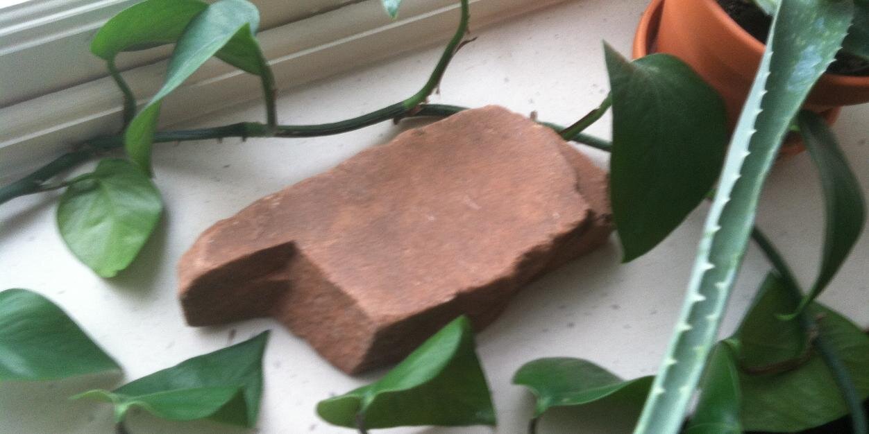 UNL ENVR Program banner