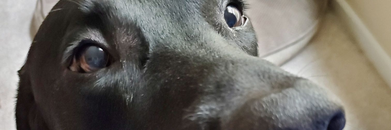 DanBigham13's profile banner image
