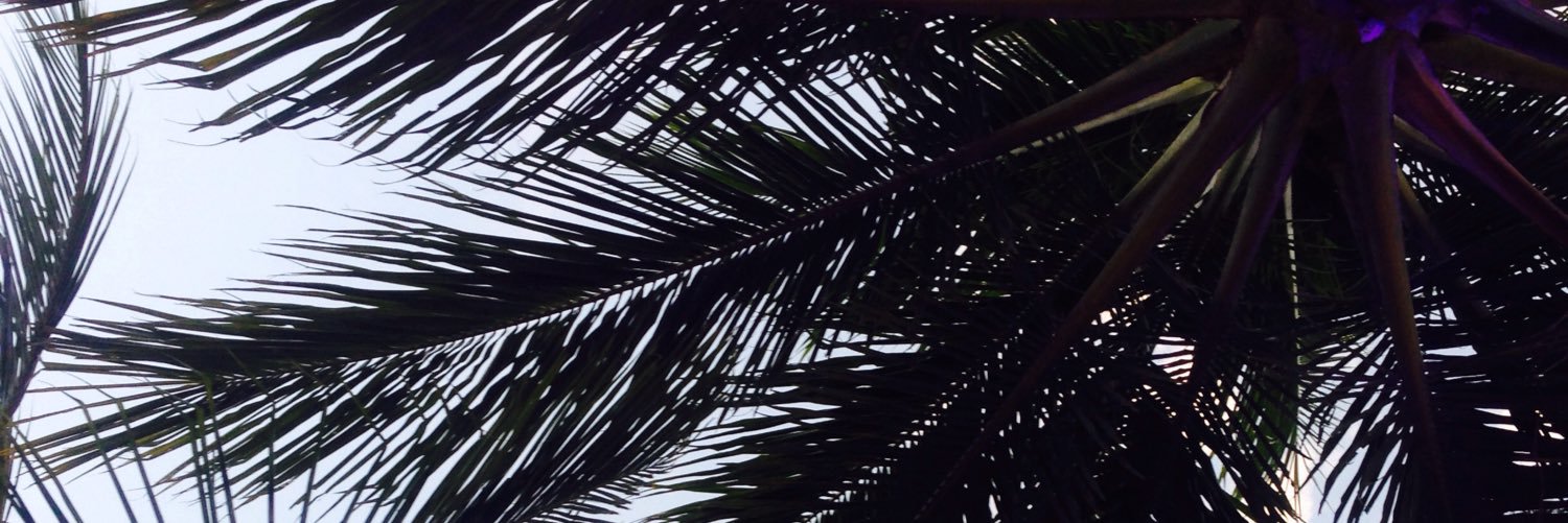 Lew1992's profile banner image