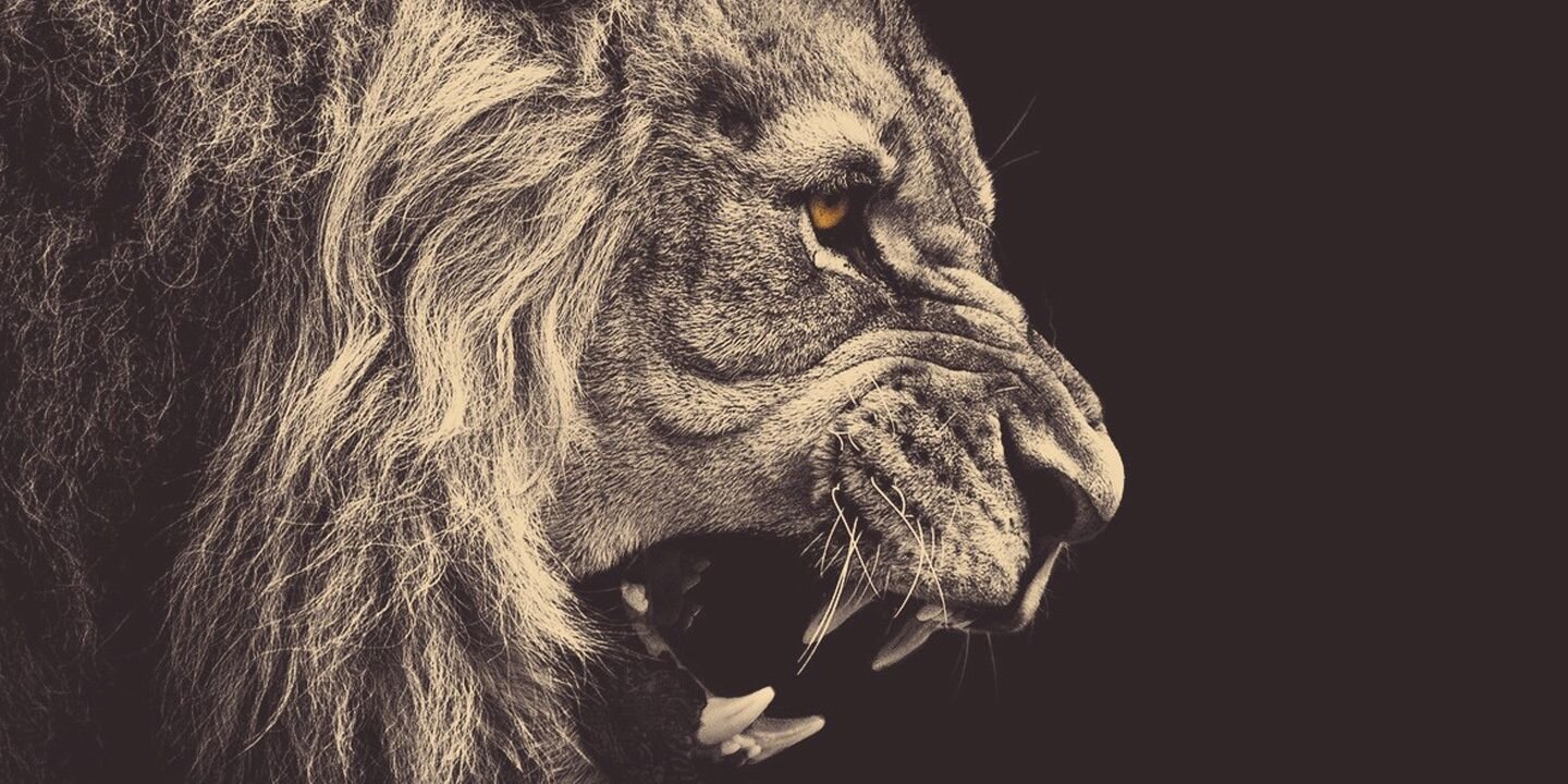 PauPB3's profile banner image