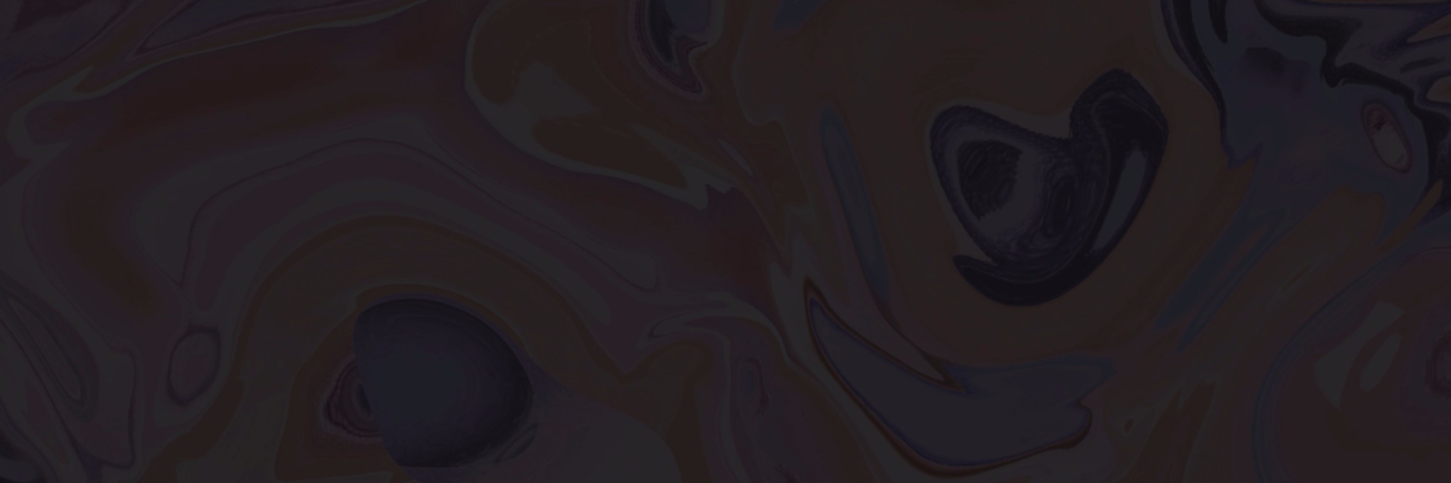 206L's profile banner image